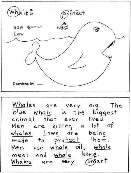 Whale story