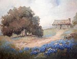 Bluebonnets